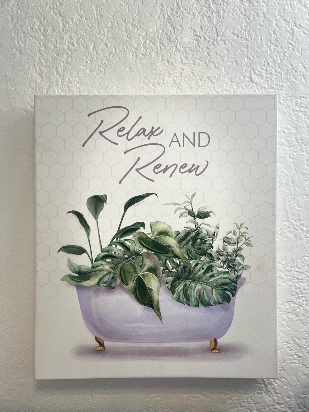 Relax and Renew Green Botanical Wall Art Canvas